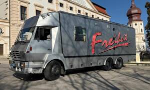 Afbeelding 2/5 van Steyr 1491 (1987)