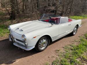 Bild 1/8 von Alfa Romeo 2000 Spider (1959)