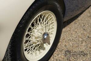 Afbeelding 40/50 van Austin-Healey 100&#x2F;4 (BN1) (1954)