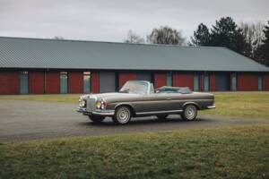 Afbeelding 3/25 van Mercedes-Benz 250 SE (1967)