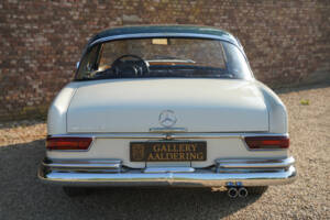 Image 6/50 of Mercedes-Benz 280 SE (1968)