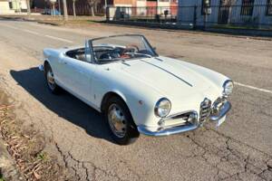 Bild 6/28 von Alfa Romeo Giulietta Spider (1961)