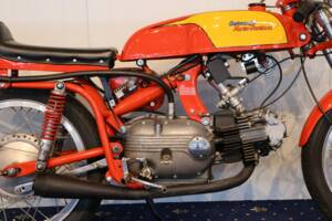Image 8/27 of Aermacchi Ala Verde (1962)