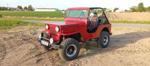 Bild 3/4 von Jeep Willys-Overland CJ-3A (1953)