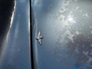 Bild 21/98 von Alfa Romeo 2000 Spider (1960)