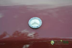 Image 49/49 de Mercedes-Benz 230 GE (SWB) (1993)