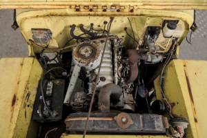 Bild 37/50 von Willys CJ-3B (1955)