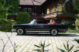 Imagen 46/53 de Mercedes-Benz 280 SE 3,5 (1970)