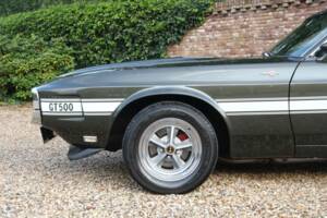 Image 17/50 of Ford Shelby GT 500 (1969)