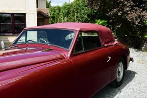 Bild 50/50 von Jensen Interceptor (1956)