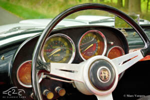 Image 31/55 of Alfa Romeo 2000 Spider (1959)