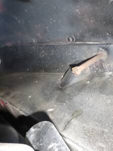 Image 137/174 of Jaguar XK 150 3.4 S OTS (1958)