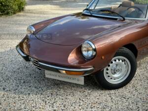 Image 7/100 of Alfa Romeo 2000 Spider Veloce (1980)