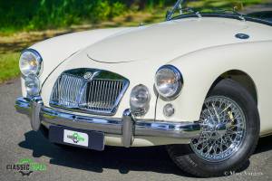 Bild 12/43 von MG MGA 1500 (1956)