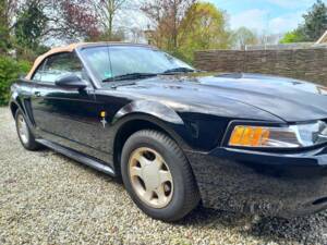 Afbeelding 6/8 van Ford Mustang GT (2000)