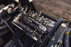 Image 25/34 of Lister Knobbly (2021)