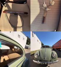 Image 41/49 of Volkswagen Beetle 1100 Standard (Brezel) (1950)