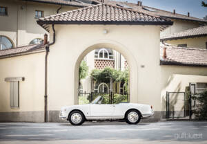 Bild 10/71 von Alfa Romeo Giulietta Spider (1960)