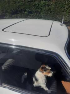 Imagen 14/25 de Peugeot 504 (1971)