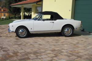 Bild 12/30 von Alfa Romeo Giulietta Spider (1961)