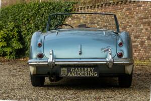 Afbeelding 40/50 van Austin-Healey 3000 Mk I (BN7) (1960)
