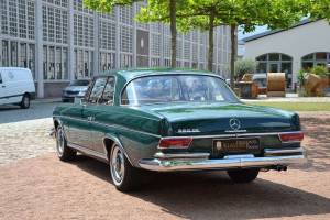 Imagen 9/16 de Mercedes-Benz 250 SE (1966)