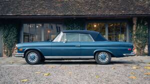 Bild 2/16 von Mercedes-Benz 280 SE 3,5 (1971)