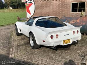 Afbeelding 21/50 van Chevrolet Corvette Sting Ray (1979)