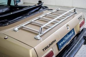 Immagine 9/50 di Triumph TR 8 (1980)