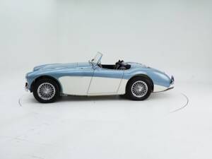 Imagen 8/15 de Austin-Healey 100/4 (BN1) (1954)