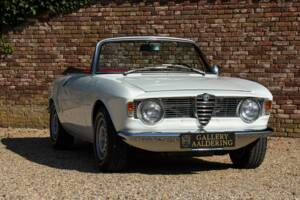 Image 11/50 of Alfa Romeo Giulia 1600 GTC (1966)