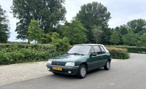 Image 20/20 of Peugeot 205 Roland Garros (1992)