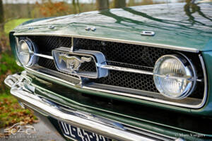 Image 30/58 of Ford Mustang 289 (1965)