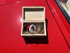 Immagine 19/26 di FIAT Ghia 500 Jolly (1967)