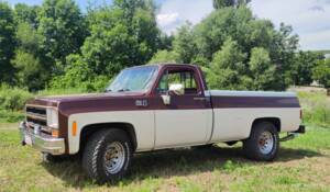 Immagine 83/110 di GMC Sierra 2500 (1975)