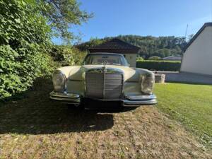 Image 4/52 of Mercedes-Benz 250 SE (1966)