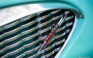 Immagine 28/48 di Austin-Healey 3000 Mk I (BN7) (1960)