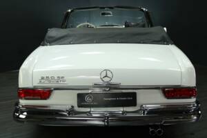 Imagen 6/50 de Mercedes-Benz 250 SE (1966)