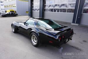 Image 6/58 de Chevrolet Corvette Sting Ray (1979)