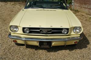 Immagine 44/50 di Ford Mustang 289 (1966)