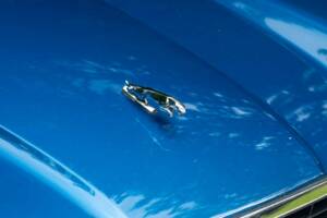 Image 39/50 of Jaguar XJS 4.0 Celebration (1994)