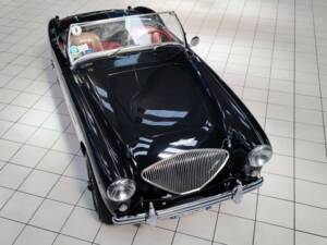 Bild 13/56 von Austin-Healey 100&#x2F;4 (BN2) (1956)