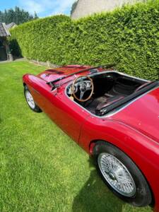 Bild 38/150 von Austin-Healey 100/4 (BN1) (1955)