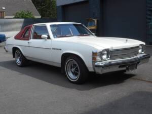 Image 2/22 of Buick Skylark Coupe (1976)