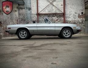 Afbeelding 7/45 van Alfa Romeo Spider Veloce 2000 (1978)