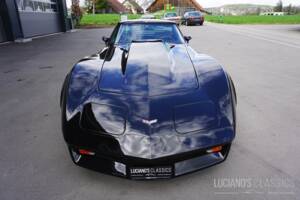 Image 12/58 de Chevrolet Corvette Sting Ray (1979)