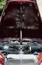Bild 17/34 von Mercedes-Benz 220 Cabriolet A (1952)