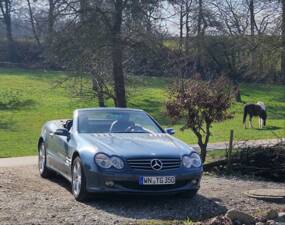Image 3/26 de Mercedes-Benz SL 350 (2004)