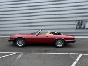 Image 1/64 of Jaguar XJ-S Convertible (1989)
