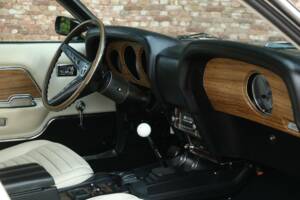Image 48/50 of Ford Shelby GT 500 (1969)